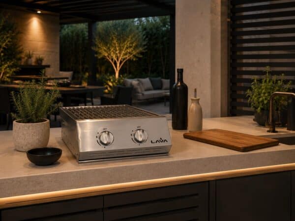 2-burner stainless steel gas griller